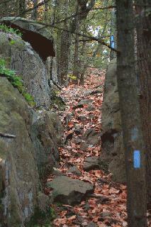 Metacomet Trail