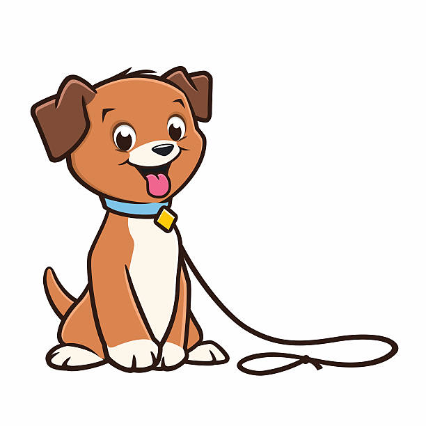 Enforcement of Leash Ordinance Press Release