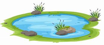Paper Goods Pond Treatment Information