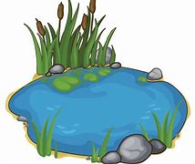 Railroad Pond Treatment Information
