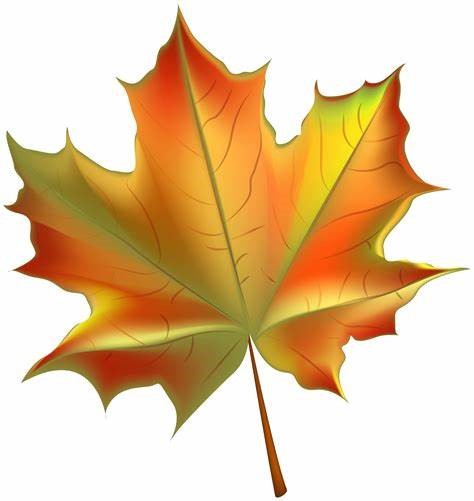 Berlin Leaf Collection 2025
